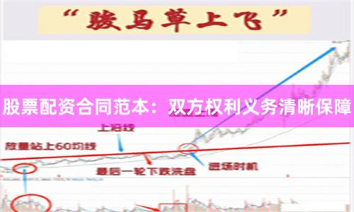股票配资合同范本：双方权利义务清晰保障