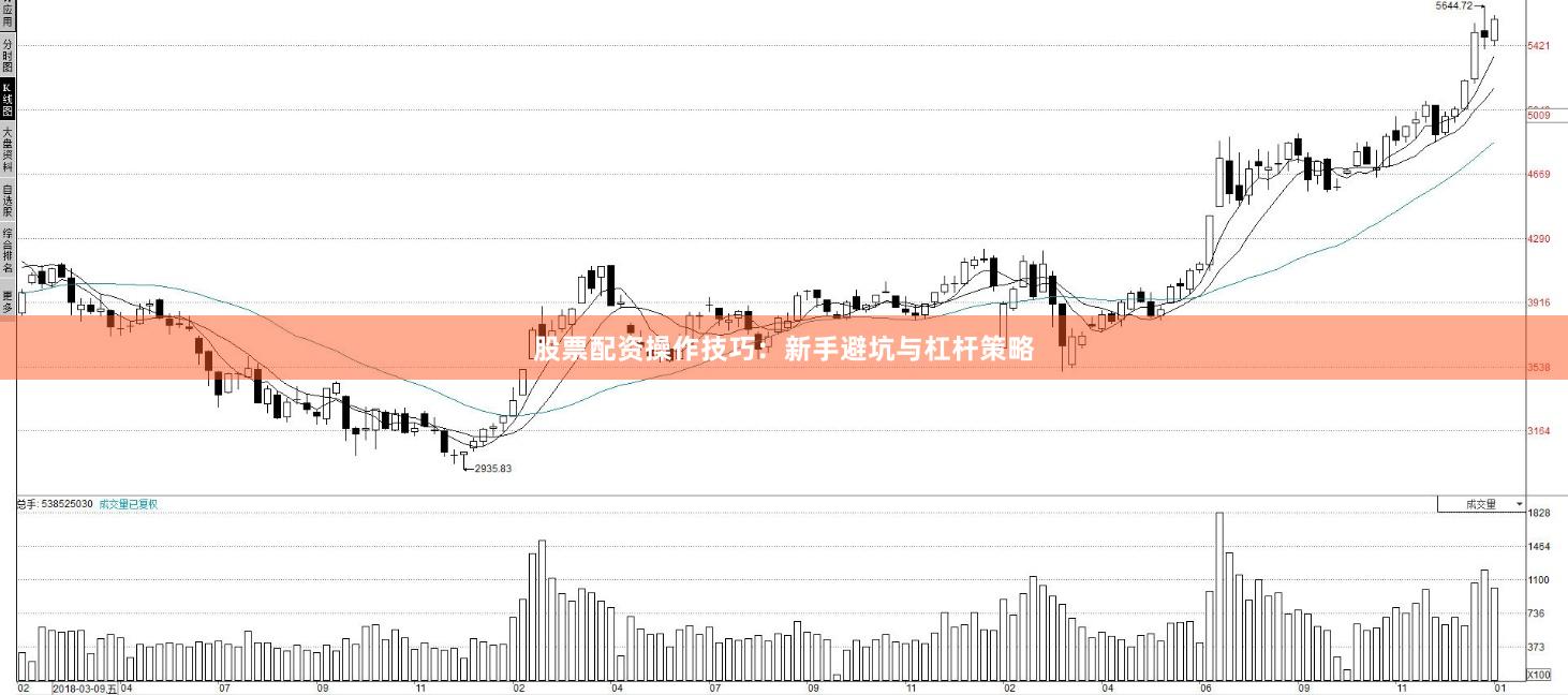 股票配资操作技巧：新手避坑与杠杆策略